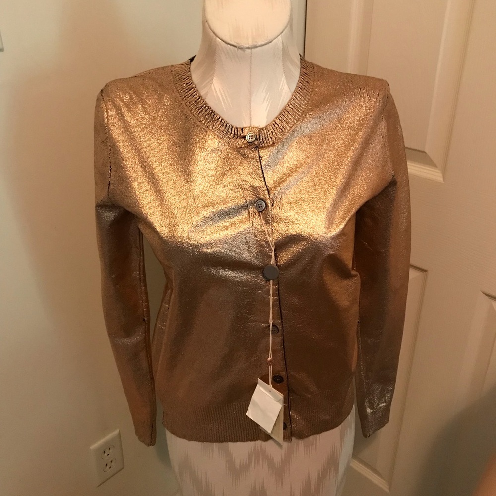 Golden Goose sweater cashmere/wool copper size Small NWT $360 rare